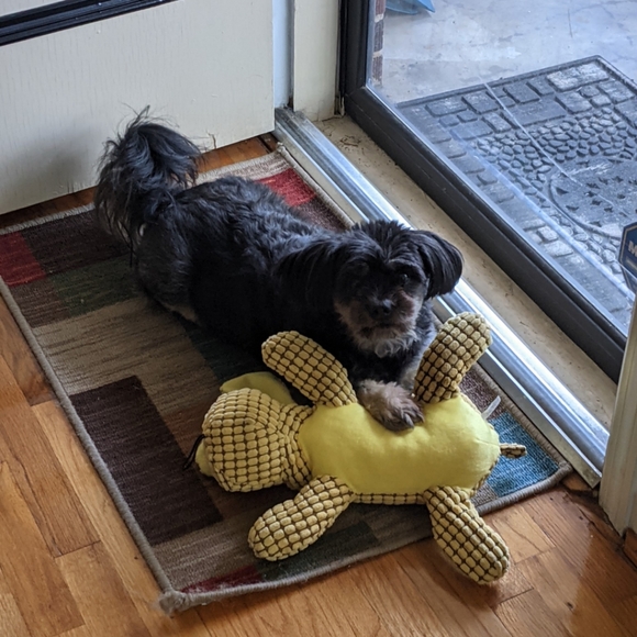 Closet Info - Picture 5 of 7